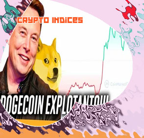 Astro elon crypto