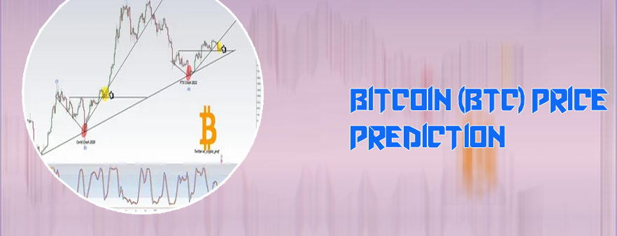 Bitcoin prediction calculator