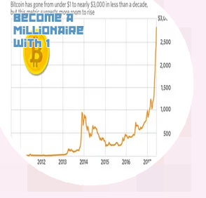 Bitcoin price thanks to bug