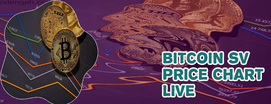 Bitcoinsv price